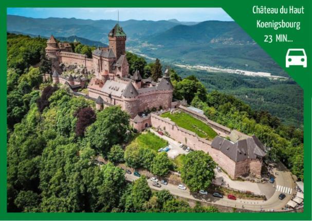 Aux Plaisirs D'Alsace Centre Historique Daire Sélestat Dış mekan fotoğraf
