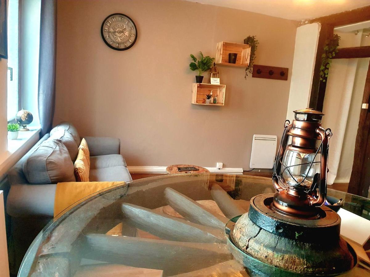 Aux Plaisirs D'Alsace Centre Historique Daire Sélestat Dış mekan fotoğraf